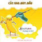 cat-bao-quy-dau-15-phut-suong-ca-doi.jpg
