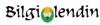Bilgilendin.com.png