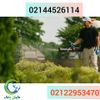 WhatsApp Image 2020-12-31 at 03.17.35.jpeg