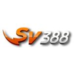 Public (dagasv388org)