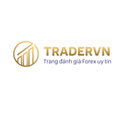 Profile (tradervnvn)