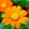 test' and 1=1--.jpg