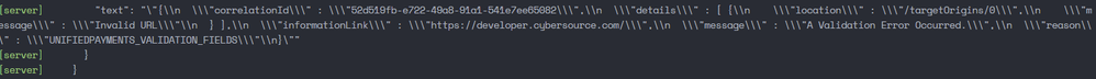 CyberSource 1.png