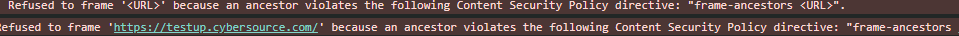 Cybersource 2.png