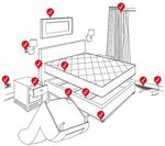 heat pest services dallas