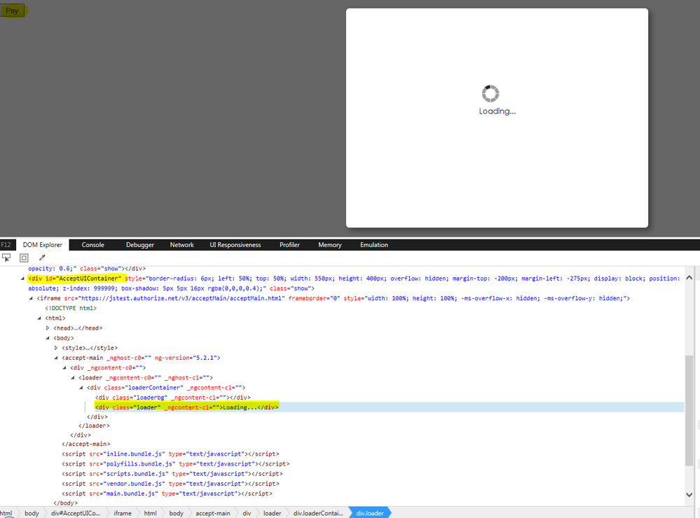 AcceptJS_Loading.PNG