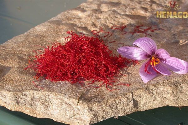 nghệ tây saffron henago