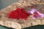 nghệ tây saffron henago