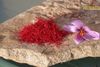 nghệ tây saffron henago