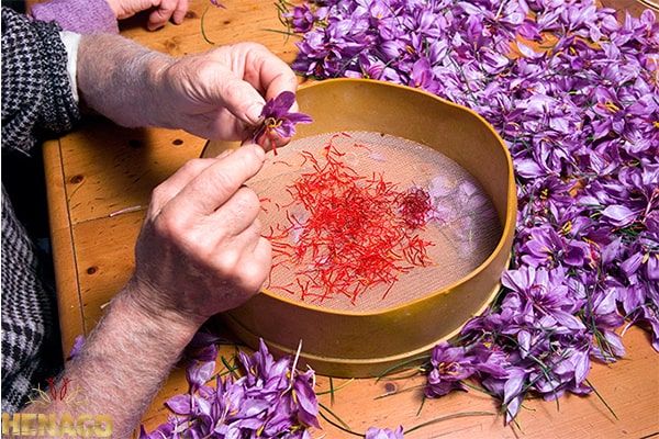 nhụy hoa nghệ tây chất lượng