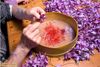 nhụy hoa nghệ tây chất lượng
