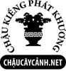 chaucaycanh.jpg