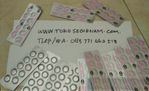 Public (tokosegienam)