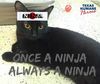 ninja.jpg
