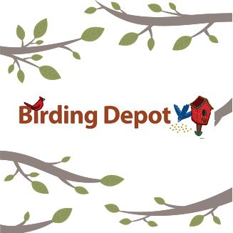 Birdingdepot logo