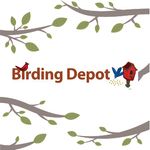 Birdingdepot logo