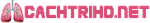 logo-cachtriho.png